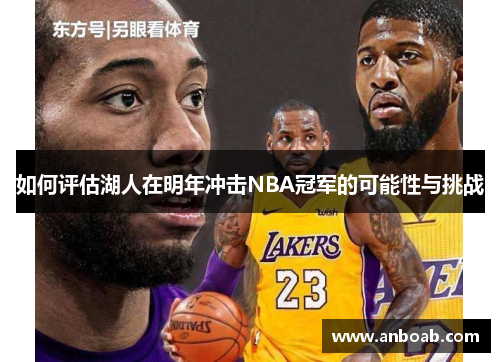 如何评估湖人在明年冲击NBA冠军的可能性与挑战